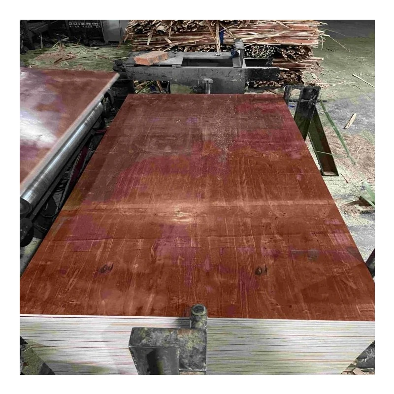 Commercial plywood pine/eucalyptus plywood