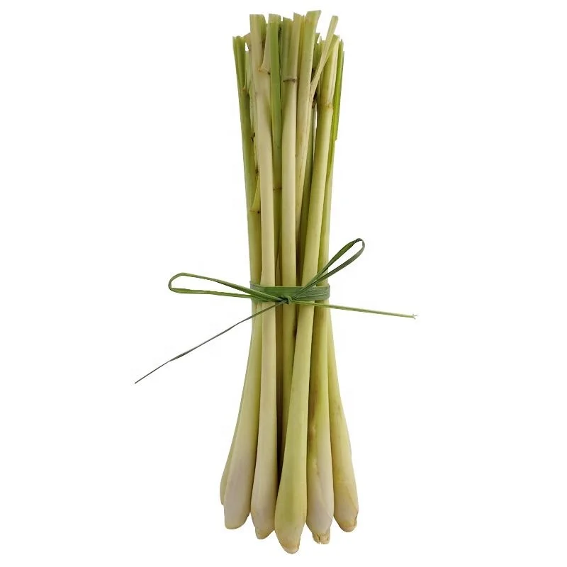 
High Germination Lemon Grass Seed 