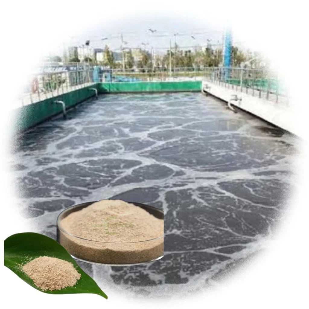 Safe harmless oil sewage treatment biological enzyme for grease trap solution