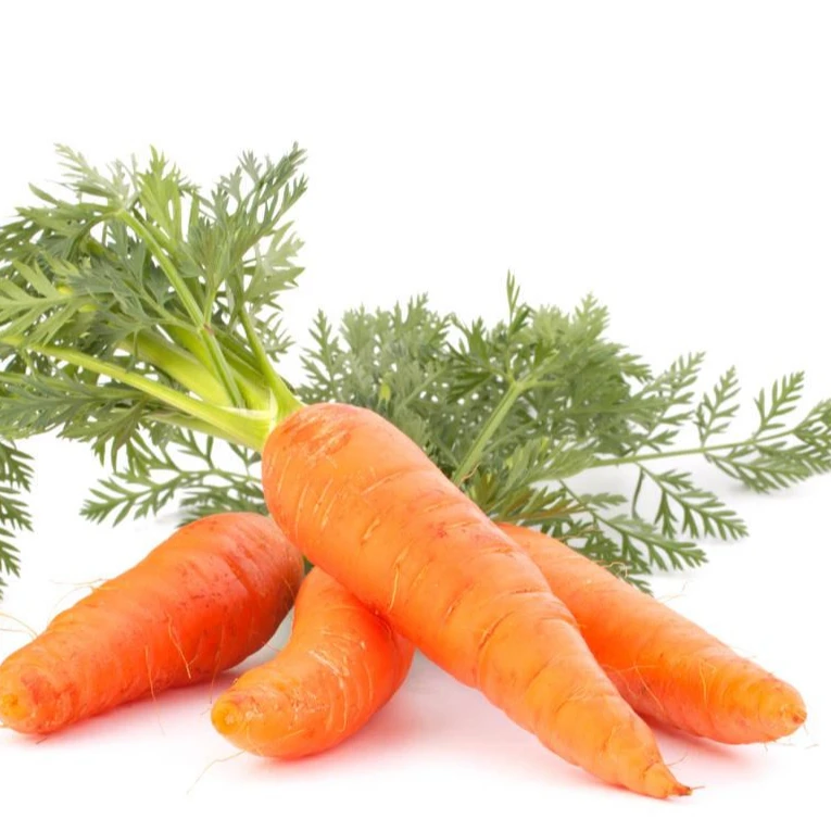 
2021 new crop hebei fresh carrot 10kg carton 