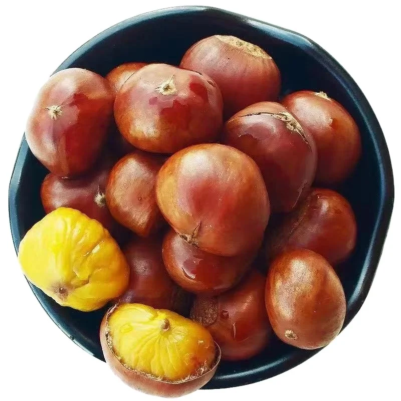 Best Quality Chestnut