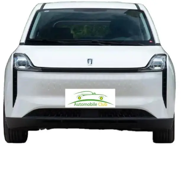 hot-selling 2022 Pentium NAT New energy car mpv 419Km Lithium iron phosphate battery Lead precursor