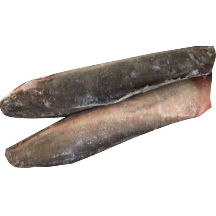 High quality frozen whole round Catfish (including dry catfish)