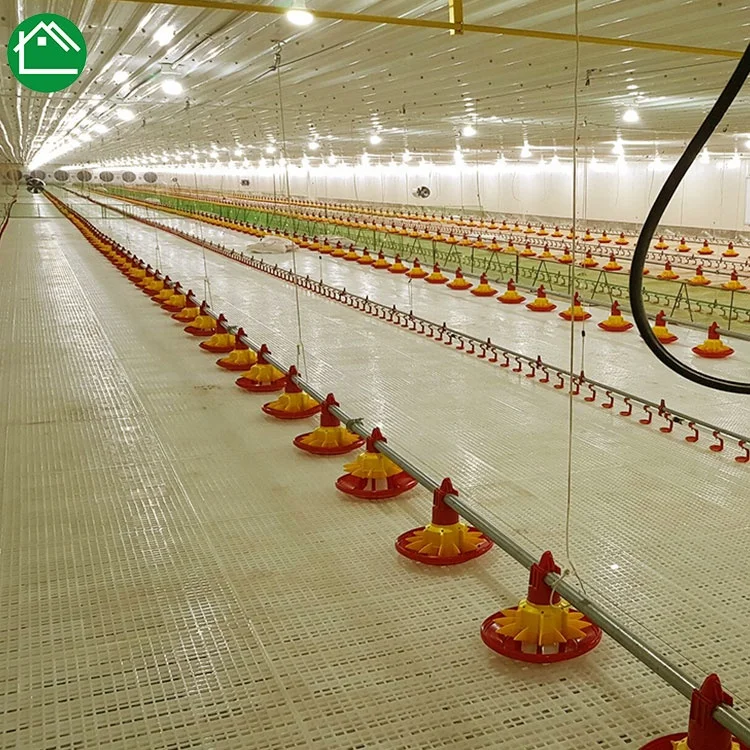 Полностью автоматическая птицеферма, система подачи кур и питья, оборудование для курятника