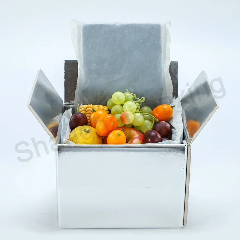 Изолированная пенопластовая упаковка для доставки свежих продуктов/Термоизолированный мешок/алюминиевая фольга пищевая пузырьковая изоляционная