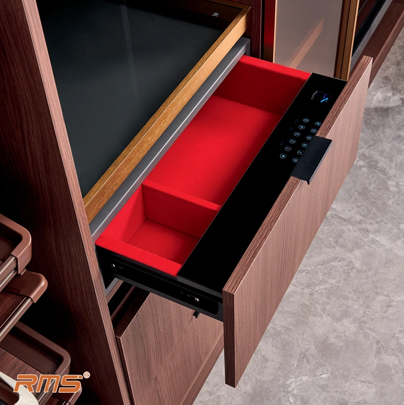 Гардеробная фурнитура для шкафа, скрытый сейф, пароль и отпечаток пальца, ювелирные изделия, металлический шкаф, Сейф