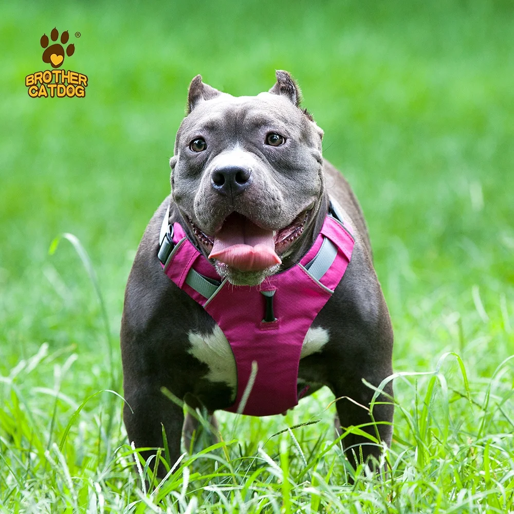 Hot Selling Soft Padded Reflective Dog Vest Harness  Breathable Adjustable No Pull Dog Harness