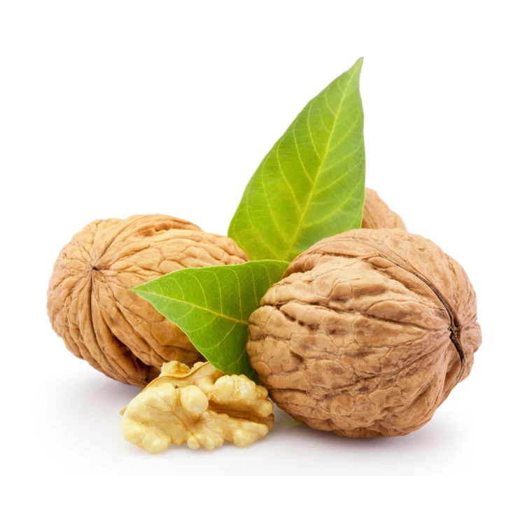 China Walnuts Factory Wholesale Price Bulk 185 Xin2  Inshell Walnut