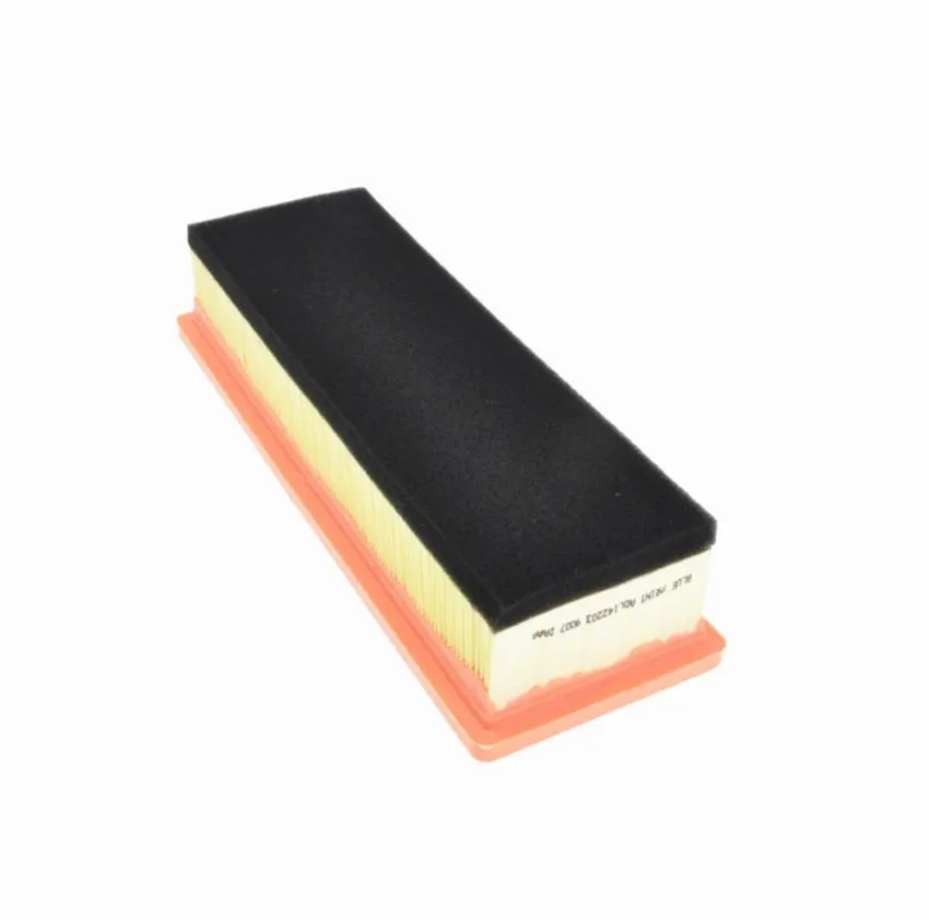 China Supply Wholesale high performance air filter element  165469466R 16546-9466R