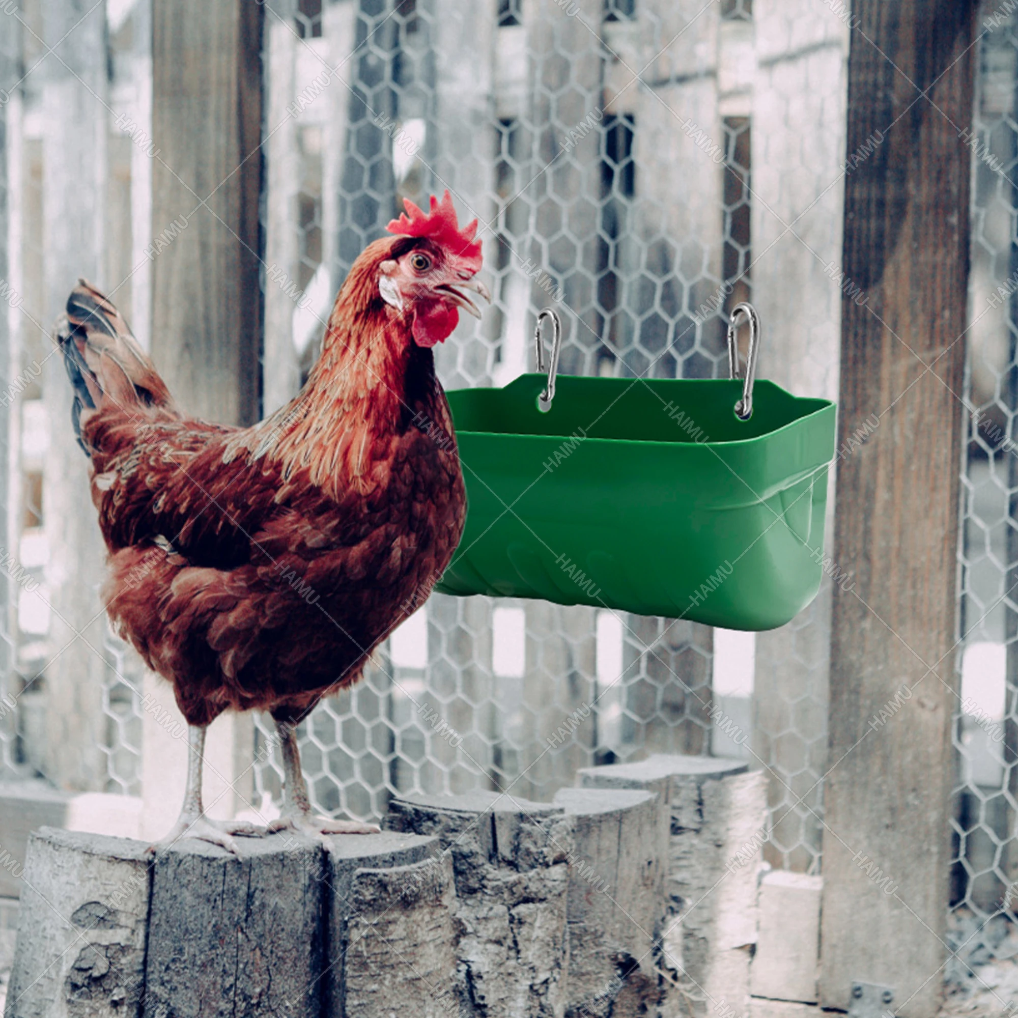 Poultry and Animal Feeders for Providing Nutritious Meals Durable and Easy to Use Trough
