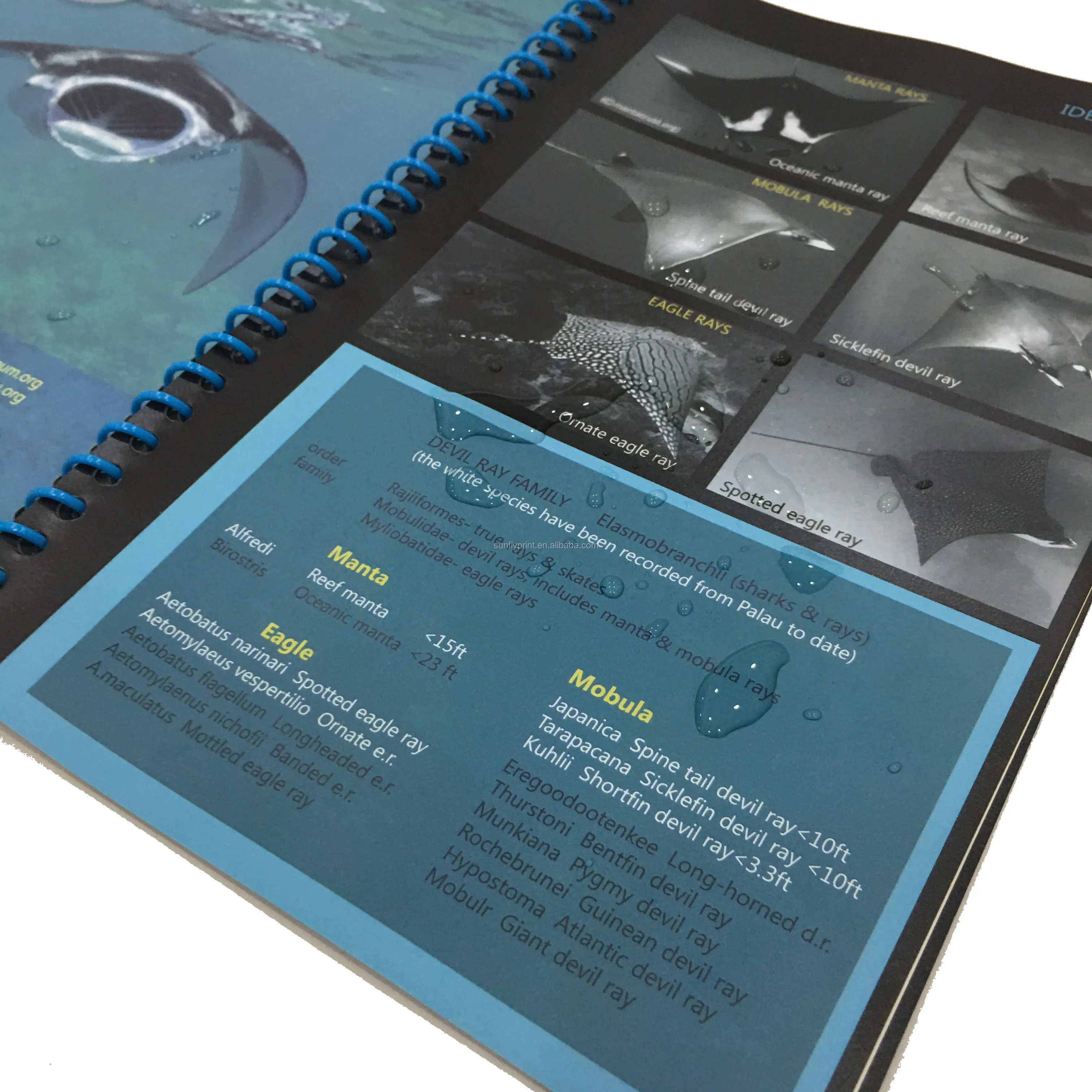Tyvek paper On Demand Print  waterproof booklet printing/ professional magazine photo book  cheap brochure printing services