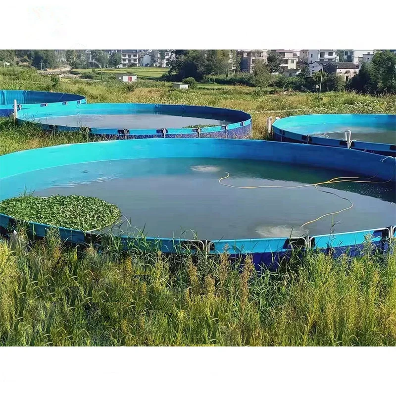 RAS indoor fish shrimp farming equipment Ras indoor recirculating aquaculture system equipment,indoor fish farm for high density