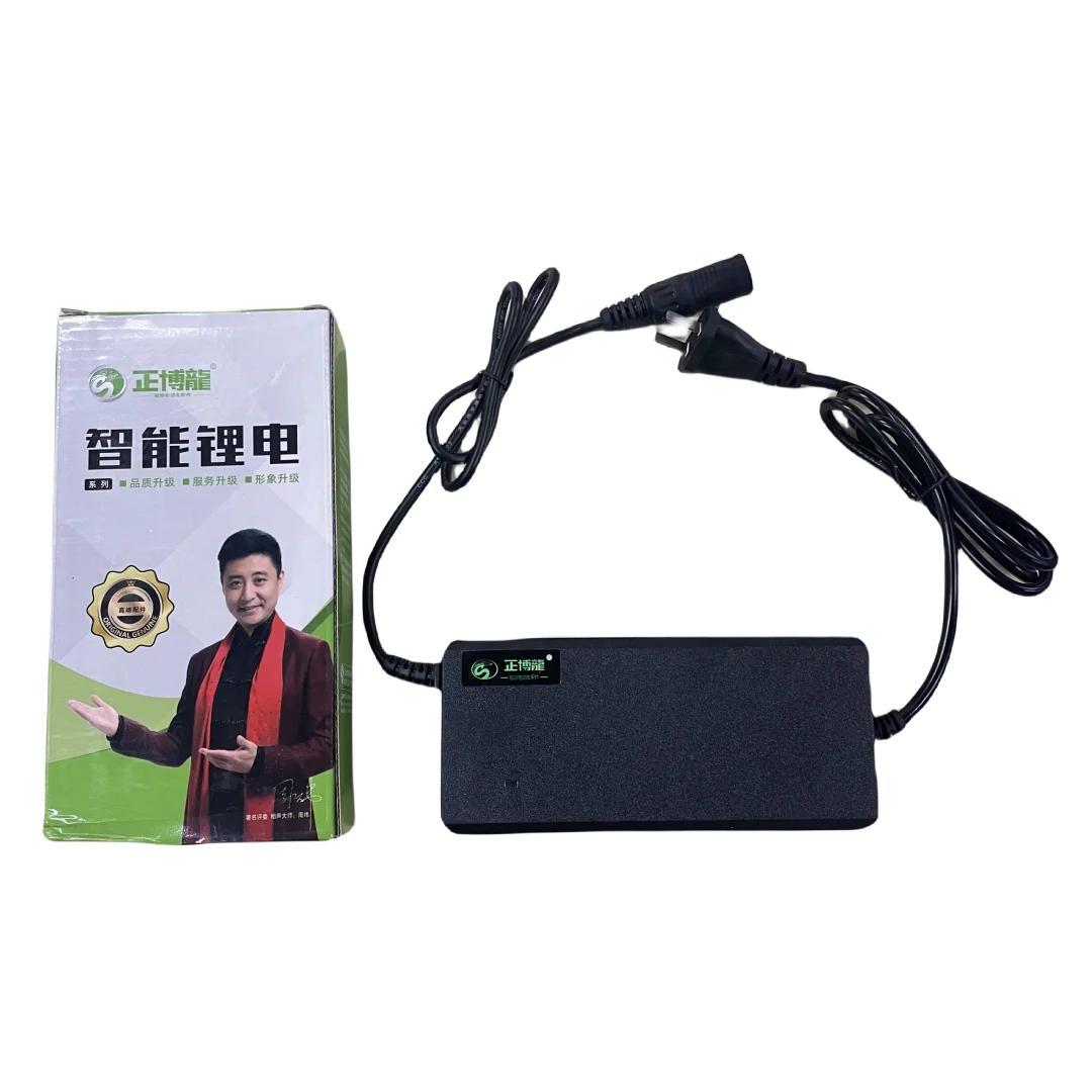 Lithium Battery Charger 48v for Motorcycle Scooter Factory Price 48V3A Charger