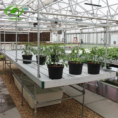 Orchid Plant Ebb And Flow Tables Flood Trays Seedbed Nursery Technology Equipment