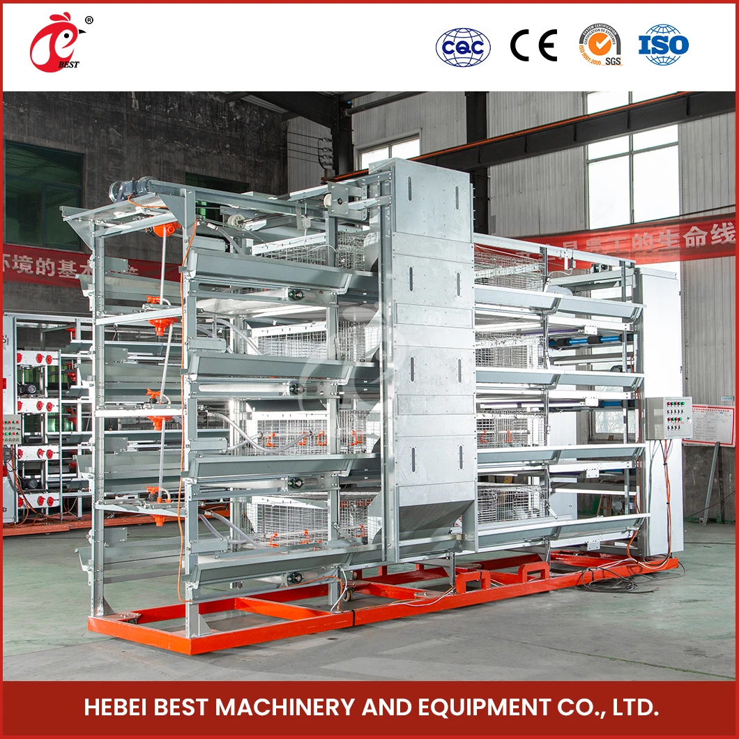 China Cheap Chicken Coops H Frame Automatic Boriler Cages Supplier Custom Clean And Hygienic Broiler House