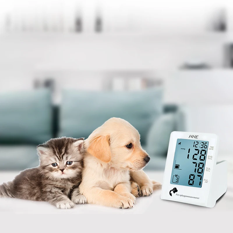 In stock portable pet meter vet blood pressure monitor for vet hospital pet clinic