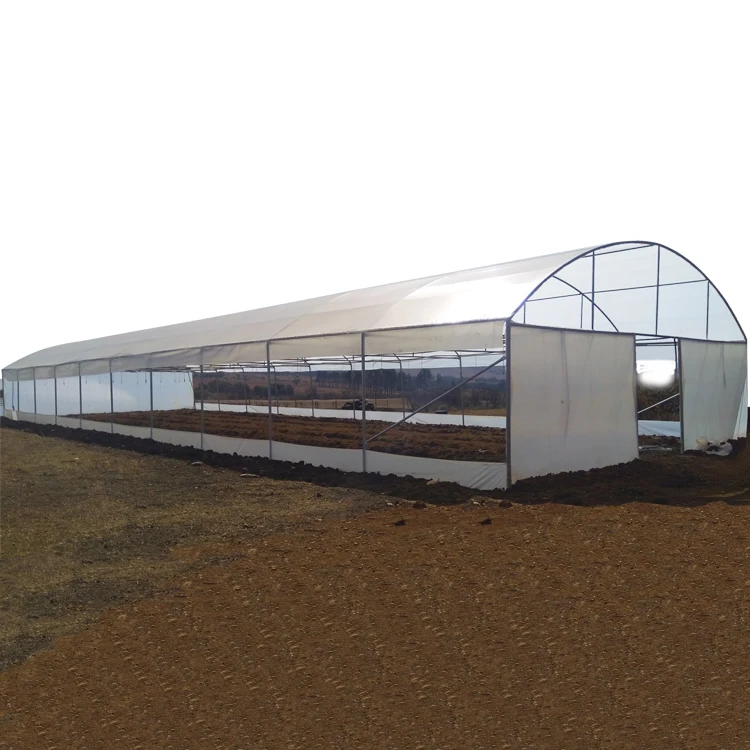 professional tunnel greenhouses frames sell greenhouses used