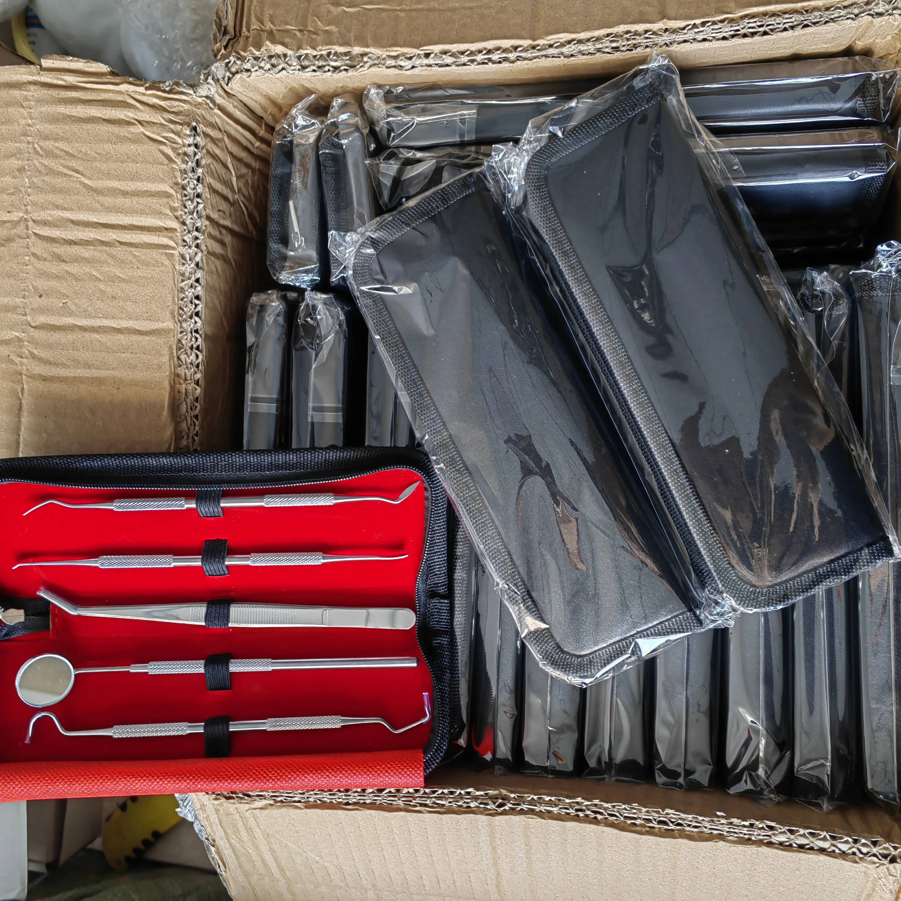 Hot Sell Dental Hygiene Tool Kit Instruments Dentist Tartar Scraper Scaler Calculus Plaque Remover Teeth Cleaning Oral Care Tool