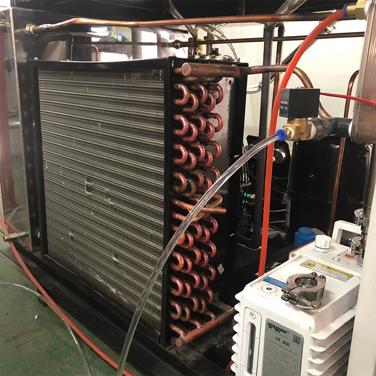 Fresh flower freeze dryer red rose lily vacuum freeze drying equipment