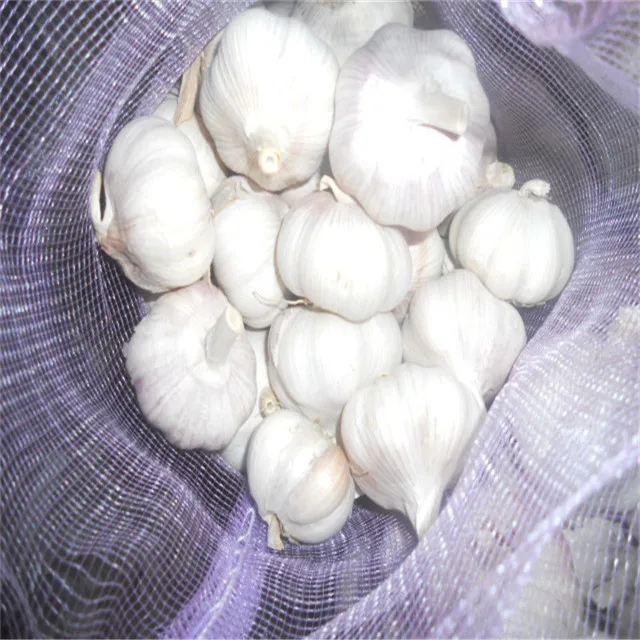
export chinese fresh garlic 2021 /special price 
