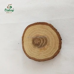 Laser engraved wood slice souvenir wood fridge magnet