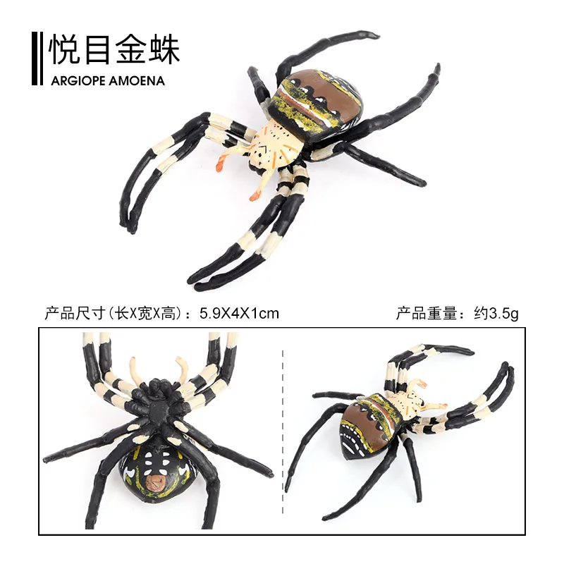Wholesale Solid PVC Simulation Model Argiope Amoena Spider Insect Figurines Bug Animal Figurines Toys