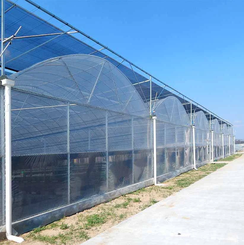 
Plastic Shed Clear greenhouses 