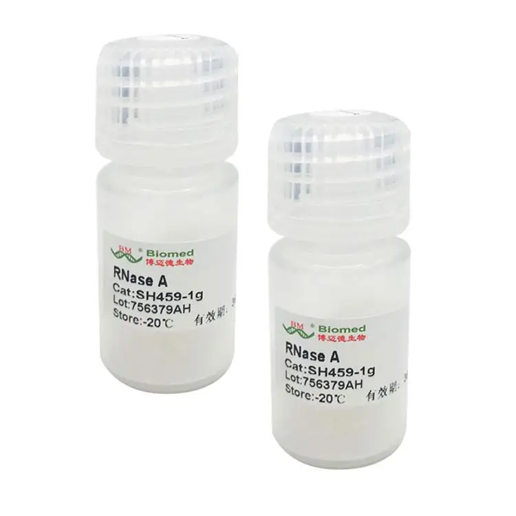 
High Efficiency Professional Laboratory RNase A 