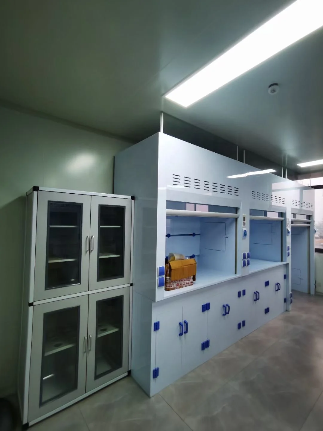 Laboratory furniture LAB scientific customized fume hood
