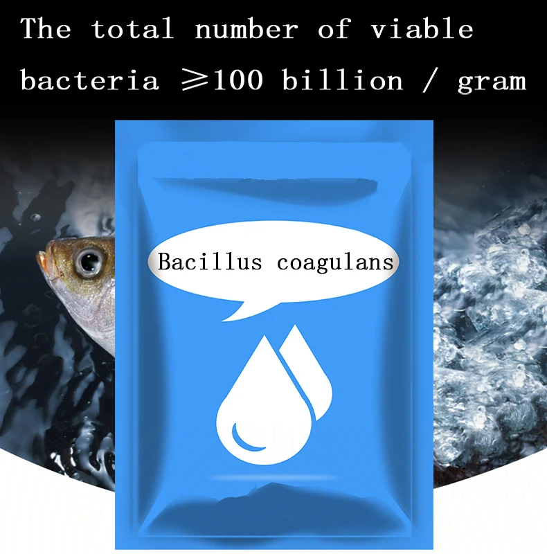 
Food Grade 50 Billion CFU/G Bacillus Coagulans probiotic powder feed additive 