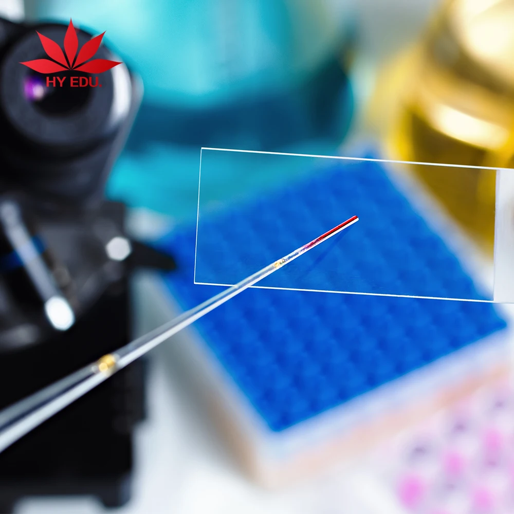 
42 pcs Medical parasitological parasites microscopic slides 