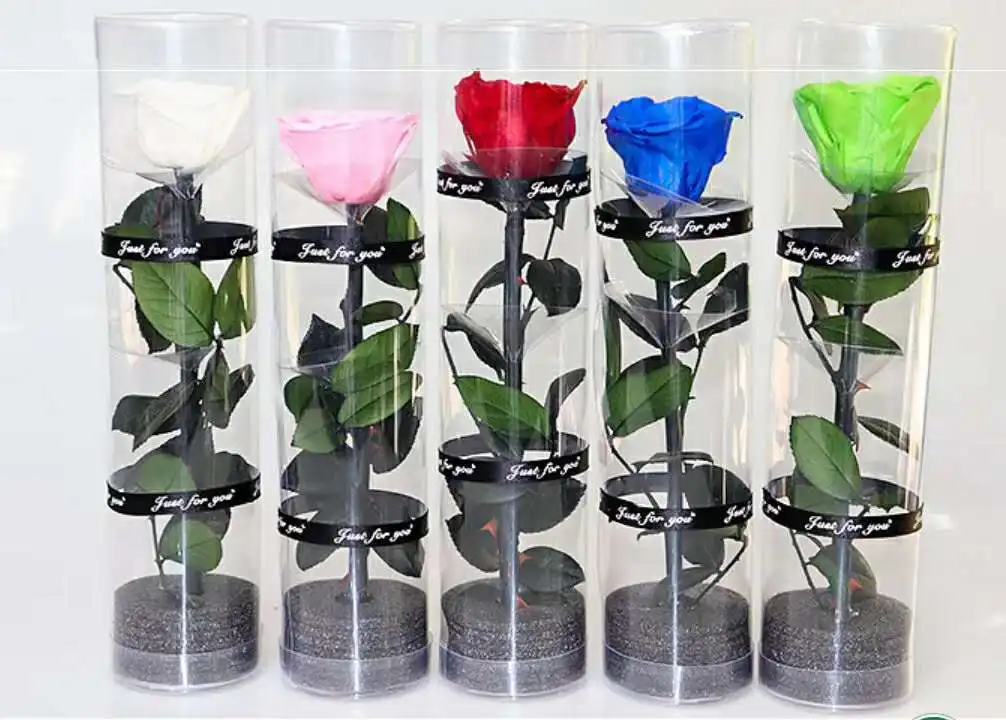 rose in glass (29).jpg