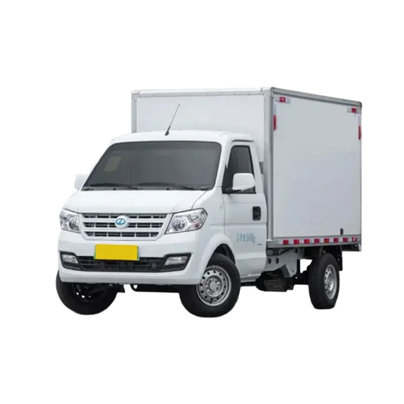 Dongfeng грузовик богатый EC31 2-местный конверсионный фургон мини-Электрический грузовой фургон EV новые энергетические автомобили Китай дешевый электромобиль для взрослых