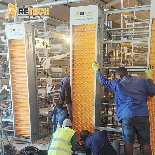 Automatic 4 Tiers Chicken Egg Layer Battery Cage For Tanzania Poultry Farm