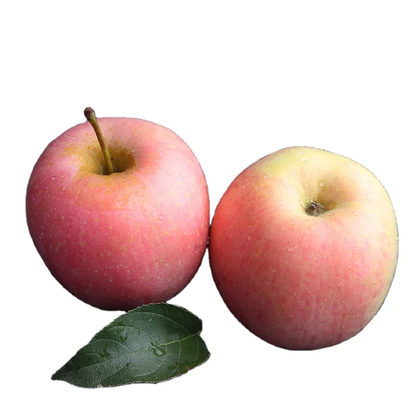 
Wholesale Chinese Organic Sweet Apple Fresh Red Apples Fruit 