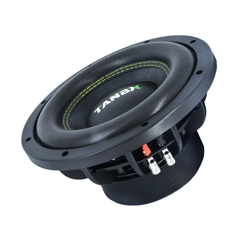 Factory wholesale  car speaker woofer 10 inch big power  car pure bass dual magnetic subwoofer (TB-10D)
