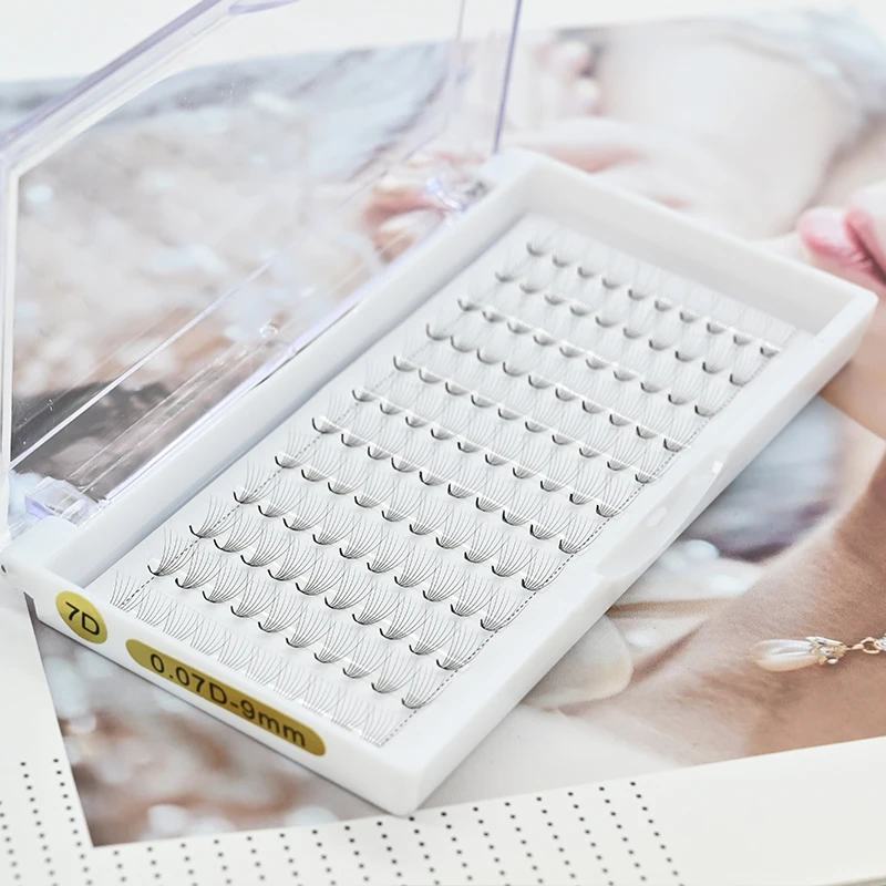 High Quality 3d 4d 5d 6d 7d 8d 9d 10d 0.07 D Curl Korean Pbt Wholesale OEM Eyelash Dark Black Premade Volume Lash Extensions