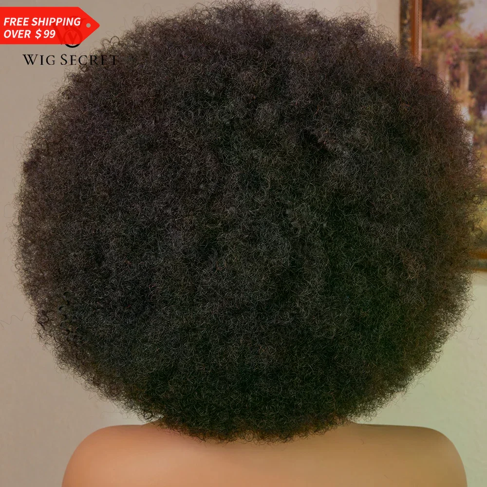 Short Afro Kinky Curly Human Hair Wig for Black Women Pixie Cut Bob Machine Made Affordable