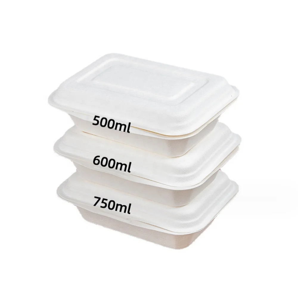 Custom Disposable Sugarcane Cardboard Bento Box Fast Food Container Pulp Packing Lunch Box Takeaway to Go Clamshell Paper Square