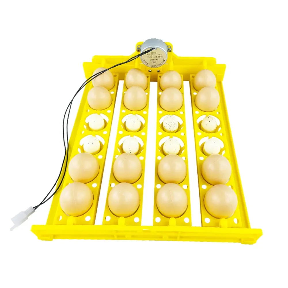 220V 24 Egg Tray Quail Bird Goose Pigeon Duck Parrot Farm Poultry Automatic Egg Incubators with Motor