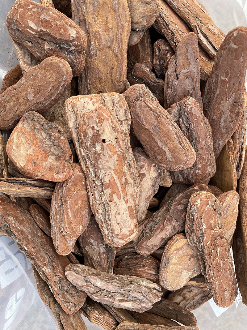 china Factory wholesale pine Bark chip Planted Trees Natural Pine Bark nugget Wood Supplement Mulch