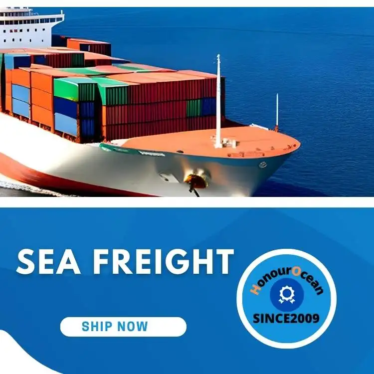 china top 10 freight forwarders international shipping  sea shipping agent china to Czech Republic