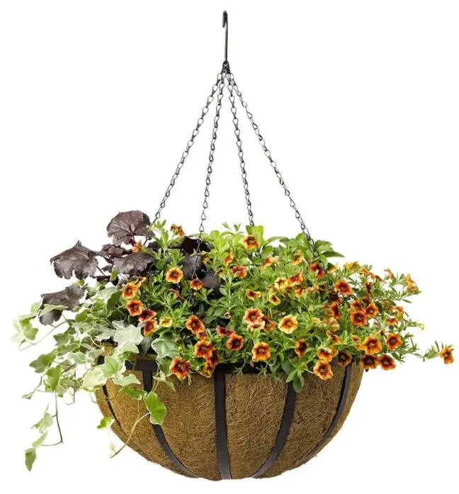  Black Color Metal Hanging Basket Round shape Support planting coconut hanging