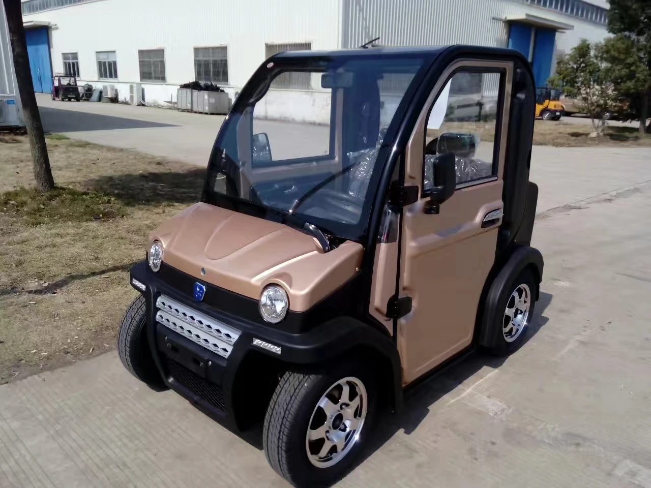 60V 120Ah F-019 Electric Car EEC COC Certificate Europe Market Electric Car