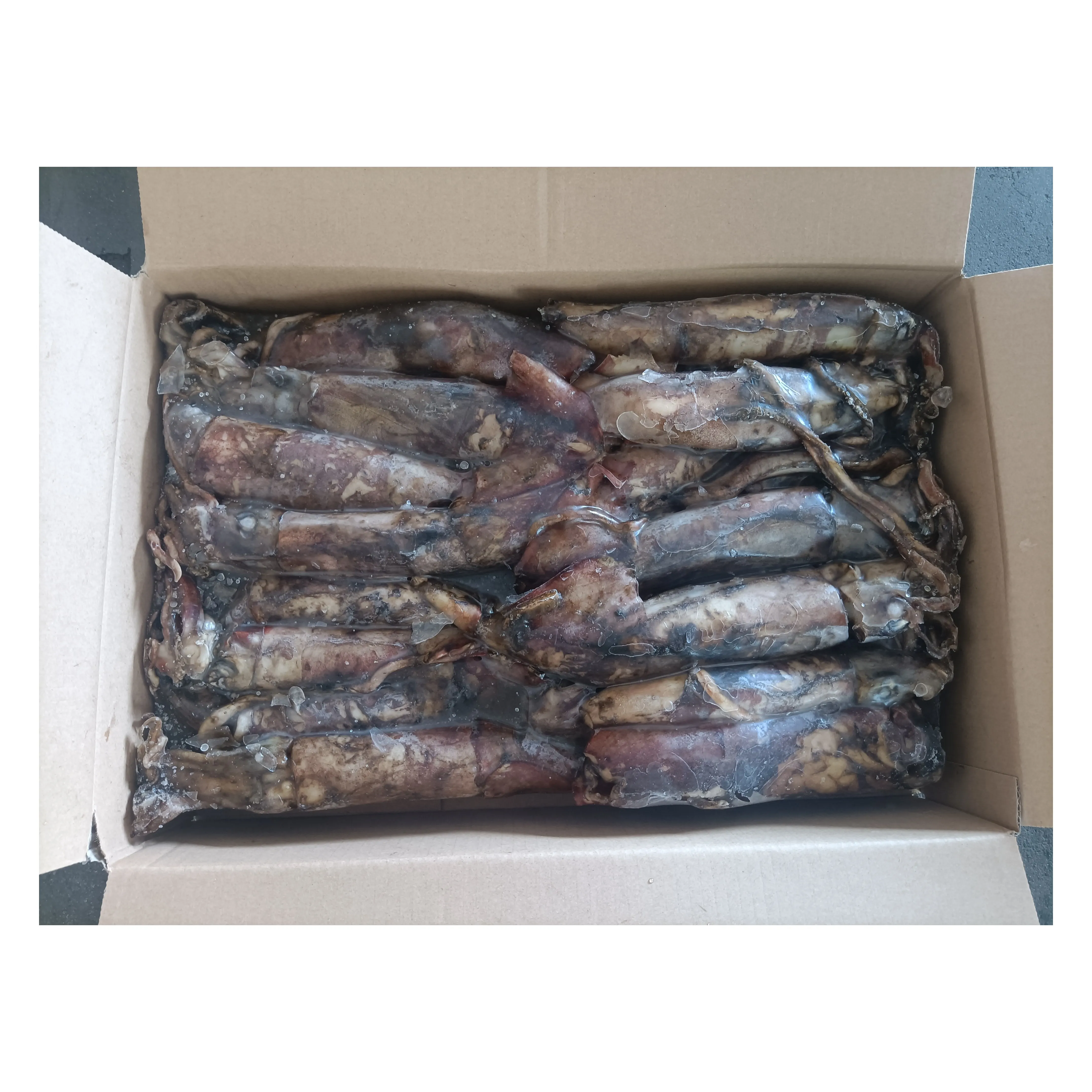 Замороженные индийские океанические кальмары X215 100-300 г высокое качество бренд xingbang замороженные