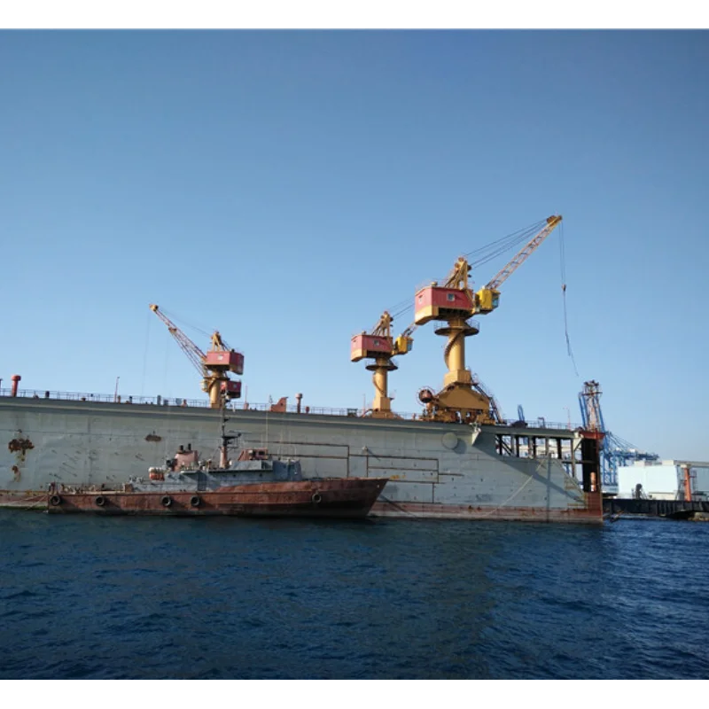 Floating Dock with Gantry Portal Cranes Core Gear Components for Dock Access