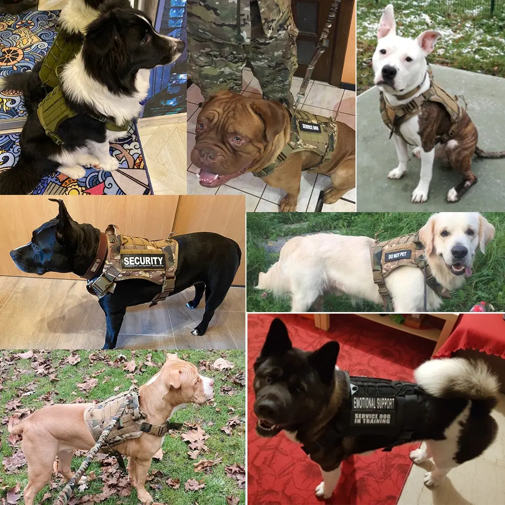 Factory Wholesale Custom Outdoor Tactical Dog Vest Tactical Large Dog Vest Tactical dog tactical harness