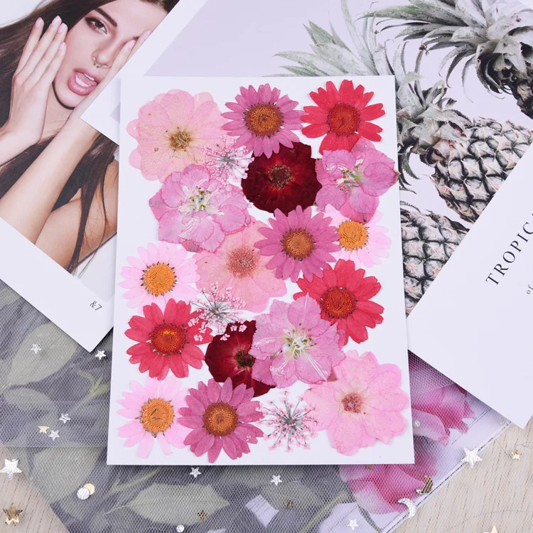 Beautiful Multiple Real Pressed Leaves Natural Dried Flowers for Art Craft Scrapbooking Card Making Resin Jewelry Craft DIY