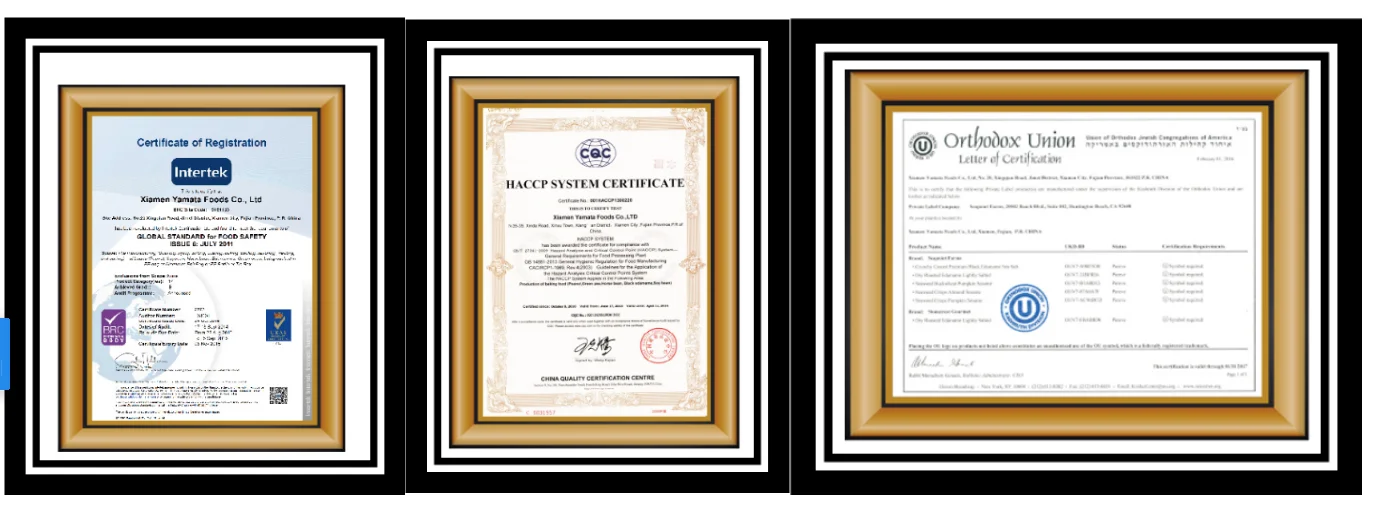 Certificate.png