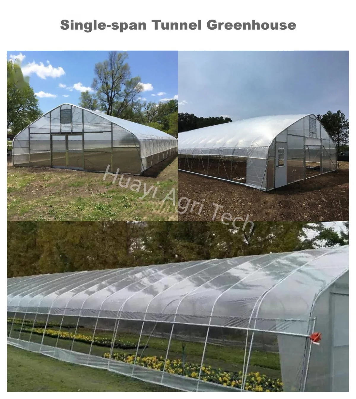 Tunnel Greenhouse.png